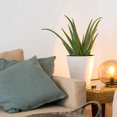 Caraujo Apartment *